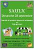Vide-greniers - Saulx