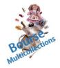 Bourse multicollection - Chartres-de-Bretagne