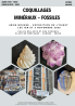Bourse coquillages, fossiles et minéraux - Vannes