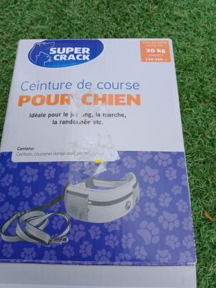 Ceinture de course pour chien