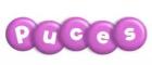 Mini-pucienne - Donges