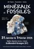 Salon minéraux et fossiles - Guilherand-Granges