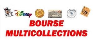 Bourse multicollection - Le Palais-sur-Vienne