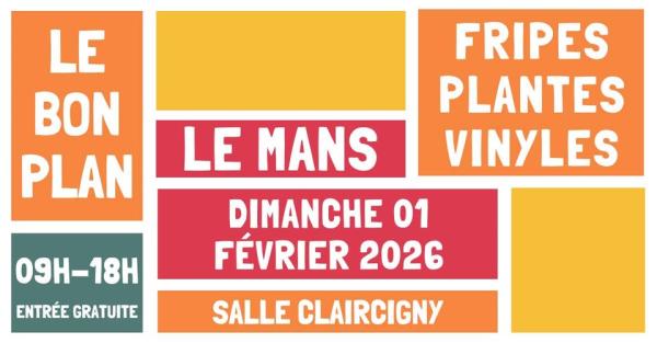 Grande vente de fripes, plantes et vinyles - Le Mans