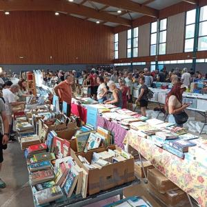 Foire aux livres et vinyles - Viriville