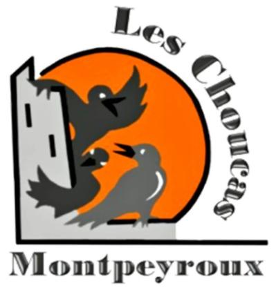 Vide grenier de printemps - Montpeyroux