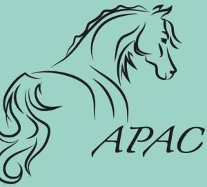 15ième Vide-greniers - Le Château-d'Oléron