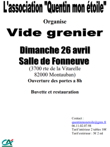 Vide-greniers - Montauban