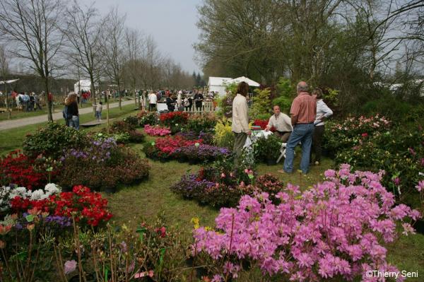 Journées des plantes Franco-Britanniques - Crosville-sur-Douve