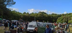 Vide-greniers - Rognes