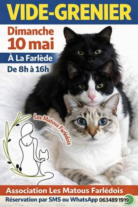Vide-greniers - La Farlède