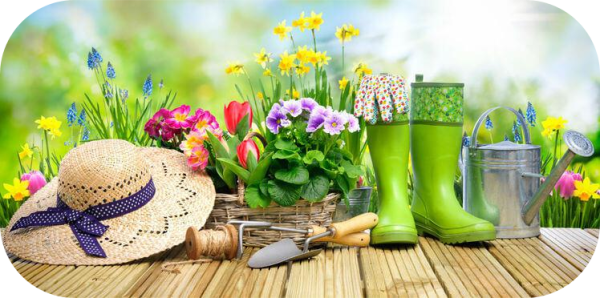 Marché des jardiniers - Vieux