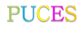 Puces enfants 0-16 ans - Lampaul-Guimiliau