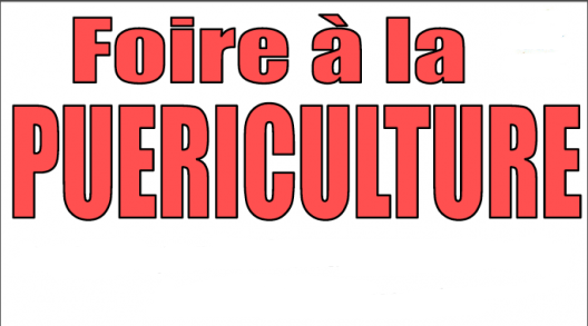 Foire à tout puériculture - Routot