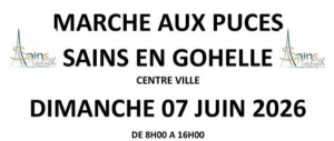Vide-greniers - Sains-en-Gohelle