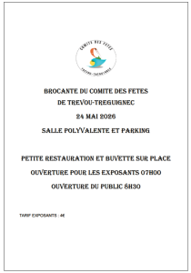 Brocante, Vide-greniers - Trévou-Tréguignec