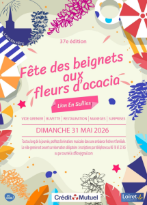 Vide-greniers - Lion-en-Sullias
