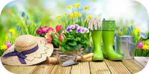 Brocante jardin - Saint-Michel-de-Livet