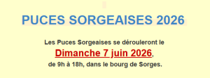 Puces Sorgeaises - Les Ponts-de-Cé