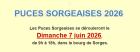 Puces Sorgeaises - Les Ponts-de-Cé