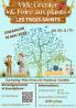 Vide grenier et foire aux plants