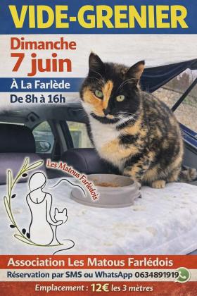 Vide-greniers - La Farlède