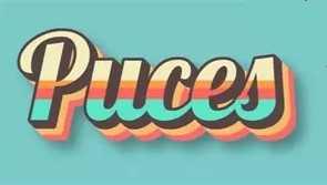 Puces - Fresnay-sur-Sarthe