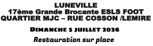 Vide-greniers - Lunéville