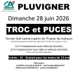 Troc et puces - Pluvigner
