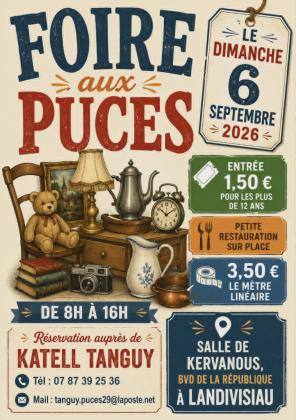 Foire aux puces