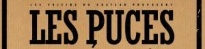 Les Puces Nortaises - Nort-sur-Erdre