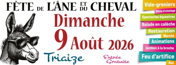 Brocante, Vide-greniers - Triaize