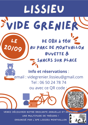 Vide grenier de Lissieu