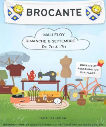 Vide-greniers - Malleloy