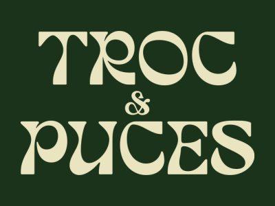 Troc et puces - Vaires-sur-Marne