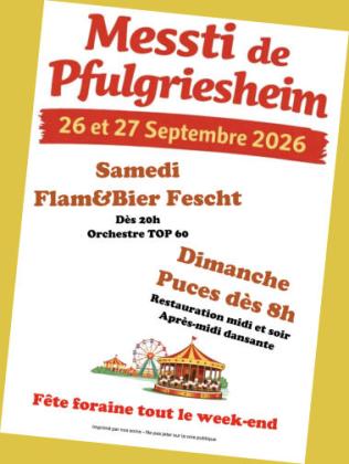 Marché aux puces - Pfulgriesheim