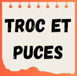 Troc et puces - Henvic