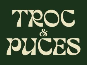 Troc et puces - Vaires-sur-Marne