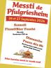 Marché aux puces - Pfulgriesheim