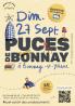 Puces - Bonnay