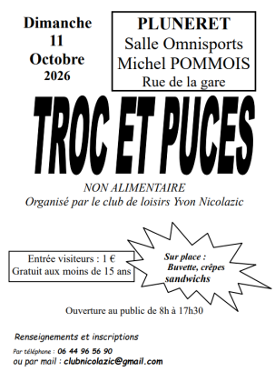 Troc et puces - Pluneret
