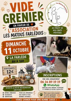 Vide-greniers - La Farlède