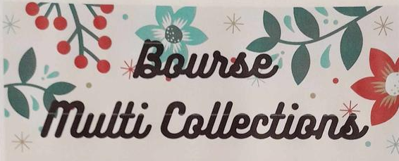 Bourse Multicollections - Tournefeuille