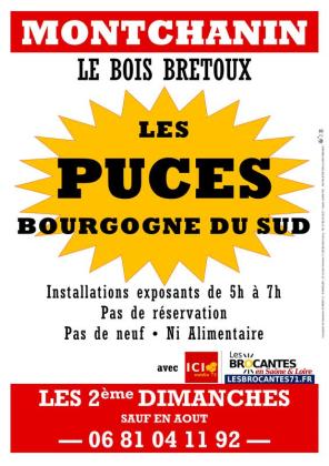Puces brocante collection - Montchanin