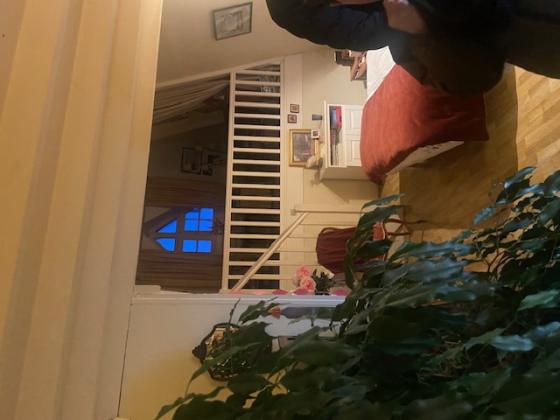 VIDE MAISON CABOURG