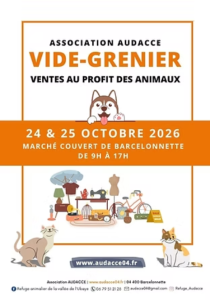 Vide-greniers - Barcelonnette