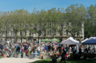 Brocante, vide-greniers d'automne - Saint-Martin-de-Ré