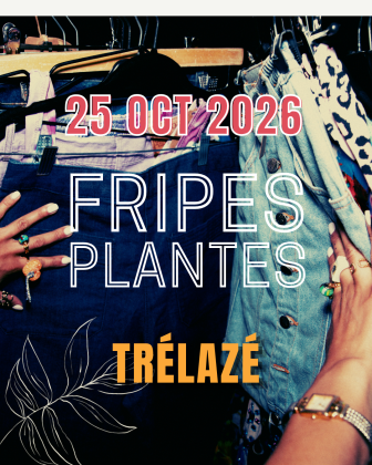 Grande vente de fripes et plantes - Trélazé