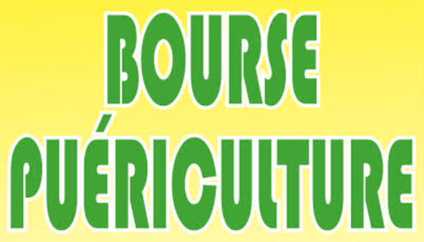 Bourse à la puériculture - Sainte-Austreberthe