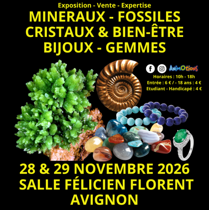 Salon Minéraux Fossiles Cristaux & Bien-Être Bijoux et Gemmes d’Avignon + Expo Préhistorique - Avignon